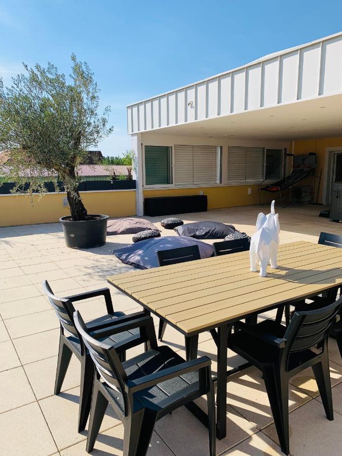Appartamento La Terrasse Du Parc Marckolsheim Esterno foto