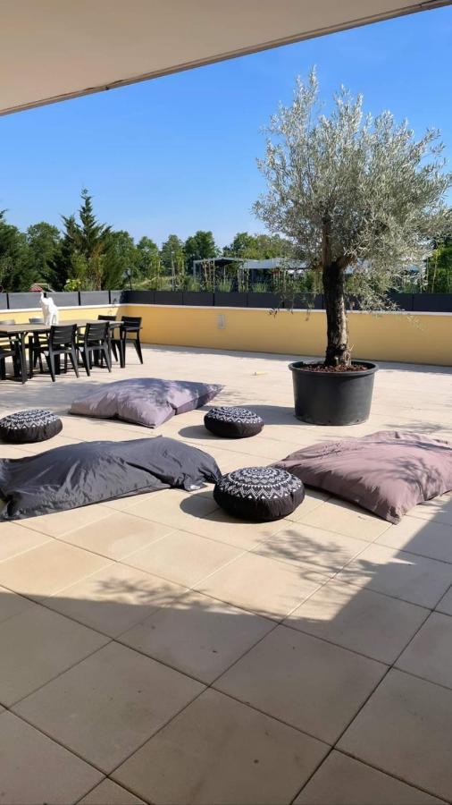 Appartamento La Terrasse Du Parc Marckolsheim Esterno foto